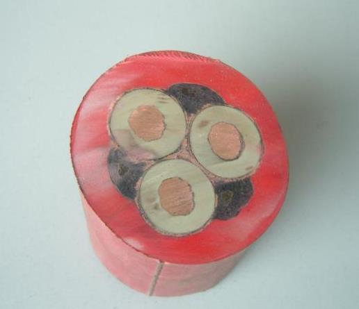 環(huán)市電纜進(jìn)水后在電場(chǎng)的作用下會(huì)發(fā)生老化現(xiàn)象.jpg